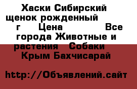 Хаски Сибирский (щенок рожденный 20.03.2017г.) › Цена ­ 25 000 - Все города Животные и растения » Собаки   . Крым,Бахчисарай